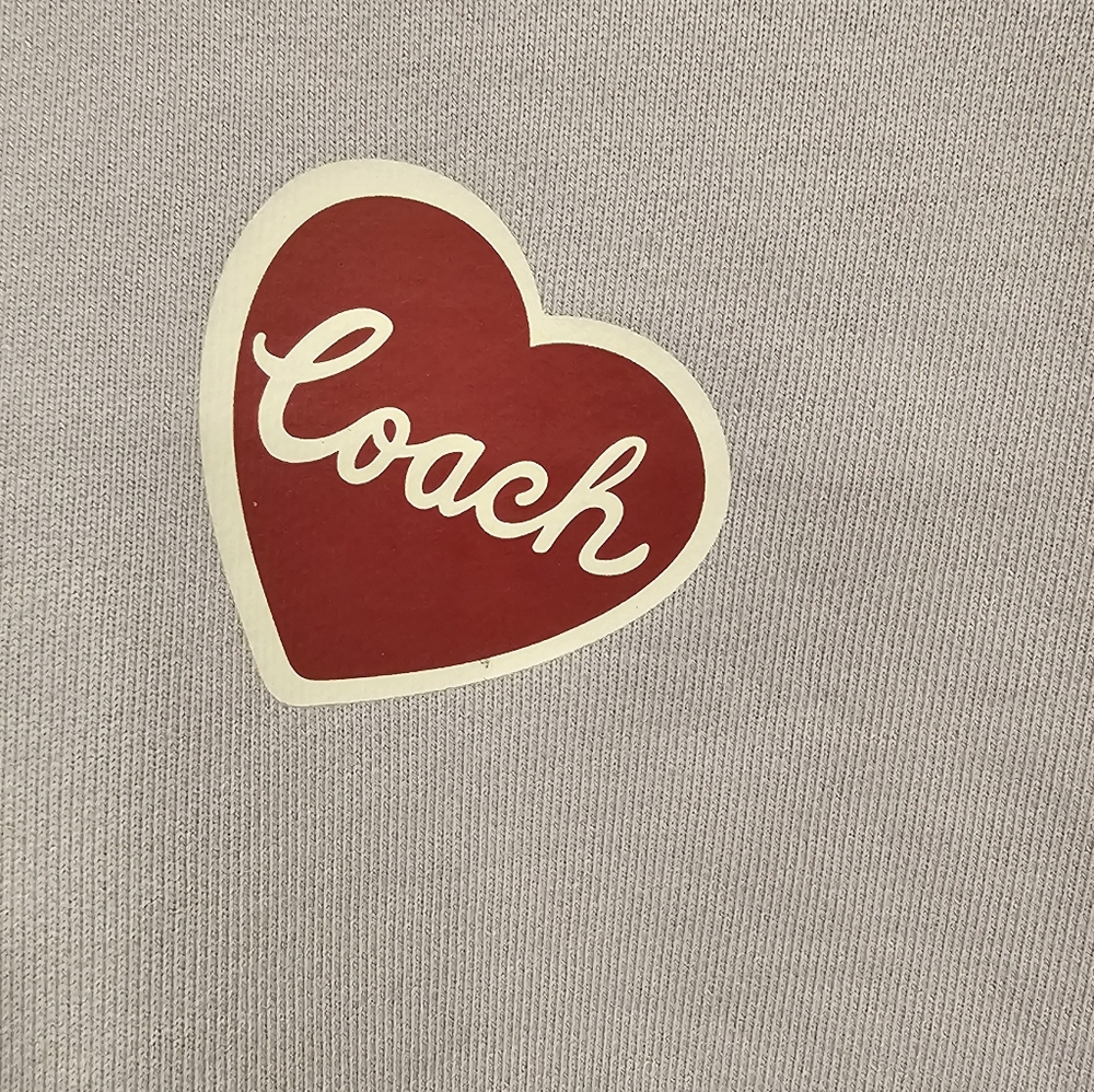 NWT Coach Women's Shrunken Raglan Light Purple Sticker Patch Hoodie Size--XS - Picture 3 of 14